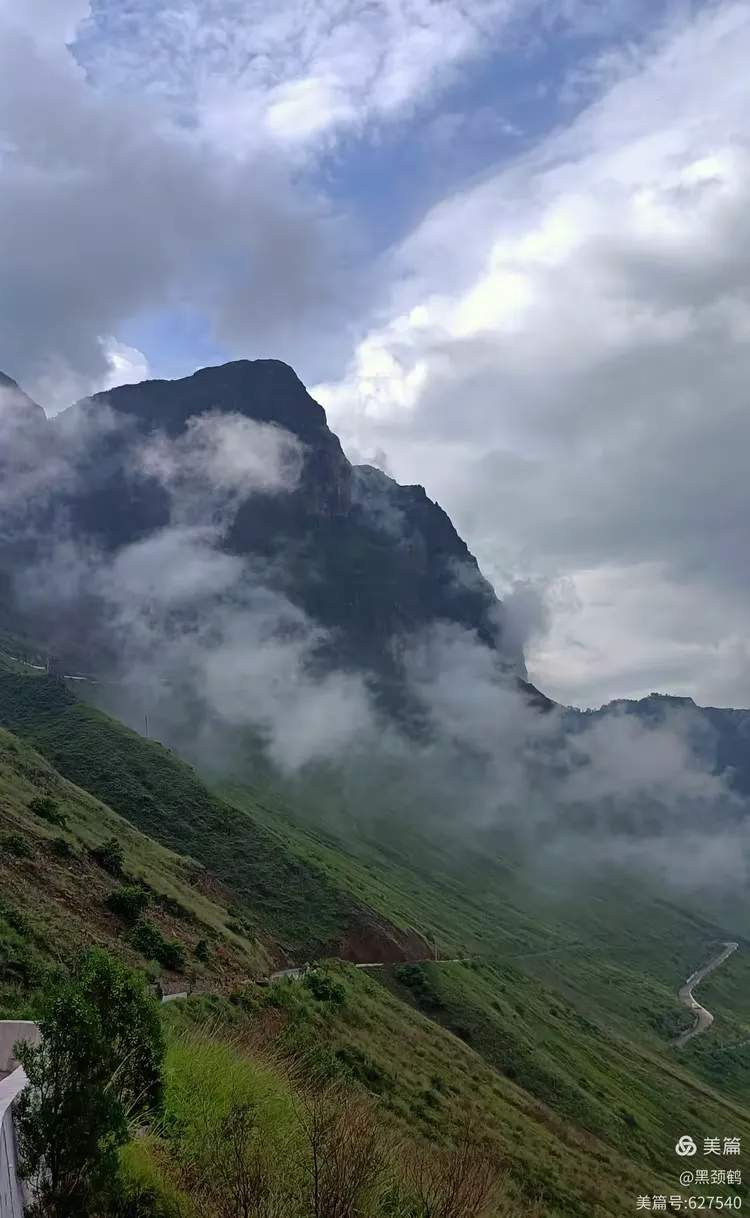 巧家马树湿地黑颈鹤保护区摄影观鹤攻略